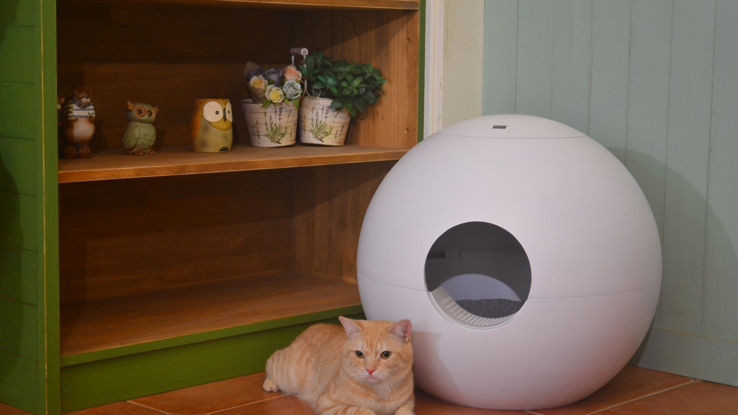 Janar litter box